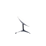 Untitled design (61)